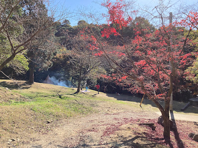 一本松公園(昭和の森) 川遊び場 사진 5
