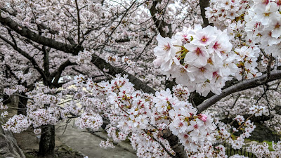 Heiwahigashi Park 사진 2