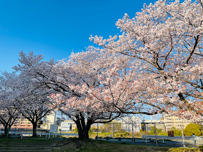 Shiobara Park
