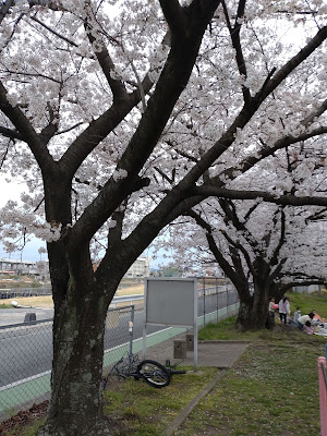 Shiobara Park 사진 5