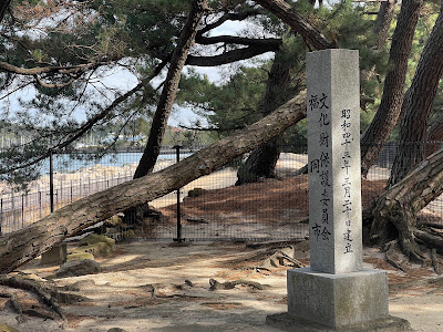 Genkoborui Iki-no-Matsubara Area 사진 5