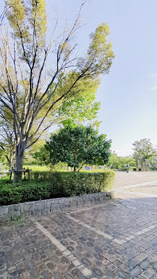 Sazaesan Street 사진 3