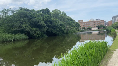 福岡城跡 ５号堀 사진 3