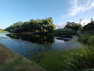 福岡城跡 ５号堀 사진 5