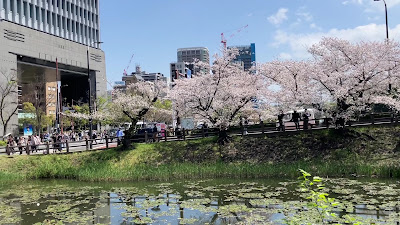 睡蓮の咲く堀(福岡城跡4号堀) 사진 3