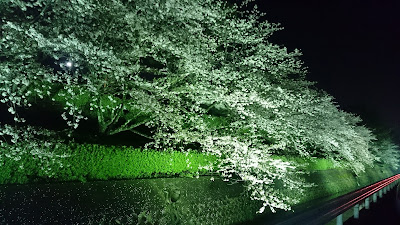 Suishabashi Park 사진 2