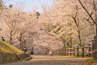 Suishabashi Park 사진 4