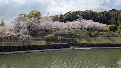 Suishabashi Park 사진 5
