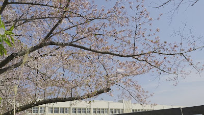 Shime Welfare Park 사진 3