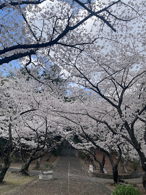 Shime Welfare Park 사진 4