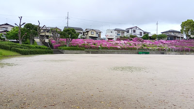 Shimehigashi Park 사진 2