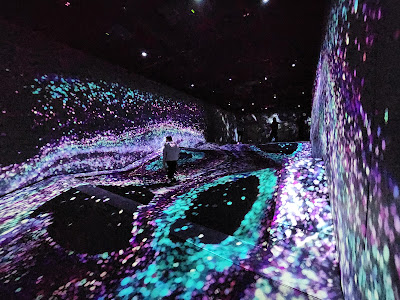 teamLab Forest Fukuoka 사진 5
