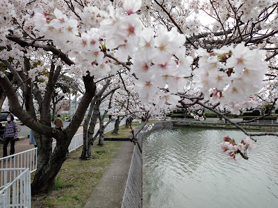 Kayoicho Park Ground 사진 5