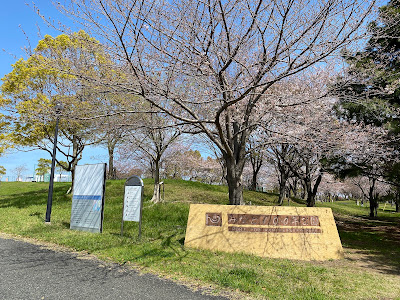 Minato 100 Nen Park 사진 4