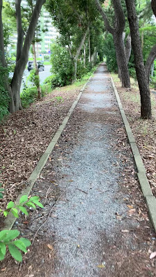 Kashiihamanishi Park 사진 3