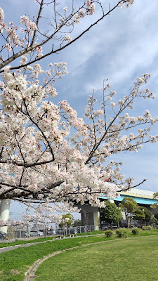 Kashiihamahigashi Park