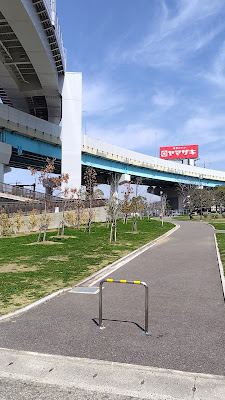Kashiihamahigashi Park 사진 3