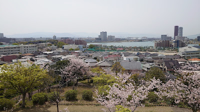 Mukainoyama Park 사진 2