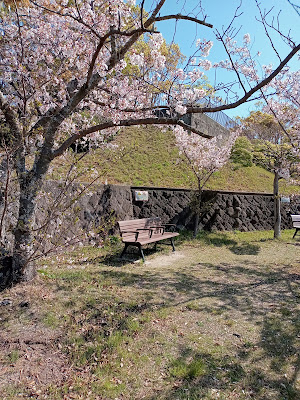 Mukainoyama Park 사진 4