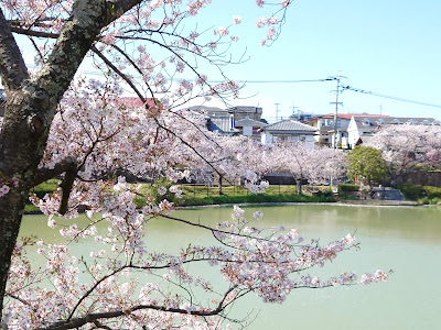Biwabashi Park 사진 2