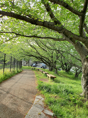 Biwabashi Park 사진 5