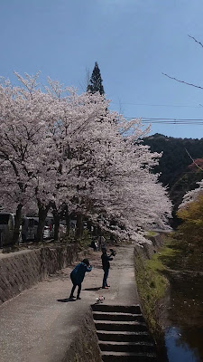 Ino River Park 사진 3