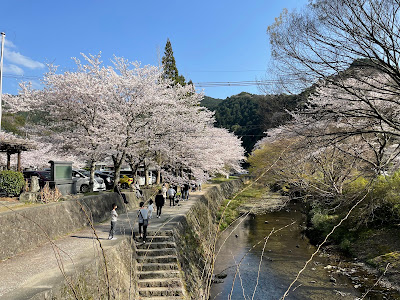 Ino River Park 사진 2