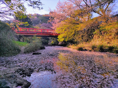 Ino River Park 사진 5