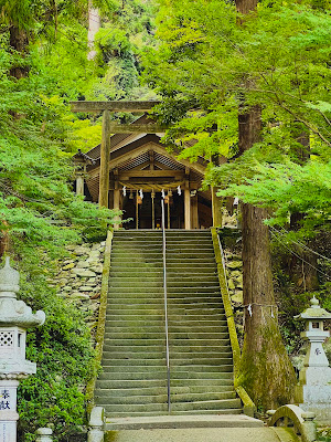 Ino Tensho Kodaijingu Shrine 사진 5