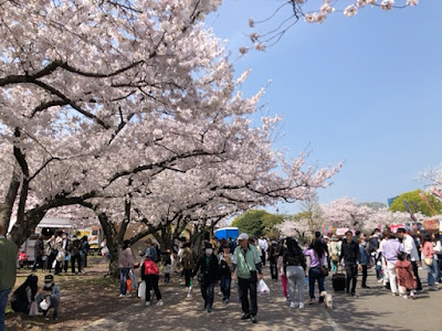 마이즈루 공원 산노마루 광장