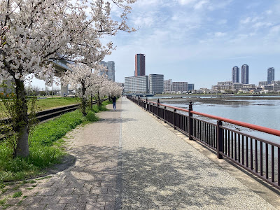 Kashiihamakita Park 사진 4