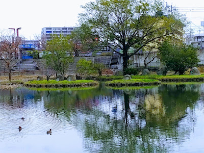 Nomaoike Park 사진 4