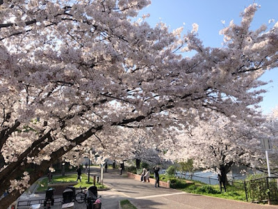 Nomaoike Park 사진 2