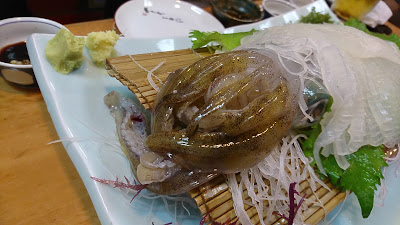 캇포 요시다 사진 3