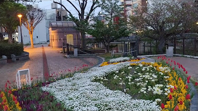 세이류 공원 사진 3
