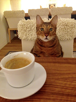 Neko Cafe Keurig (Daimyo store) 사진 4