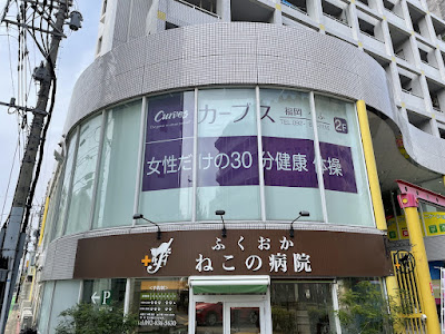 Curves 사진 4