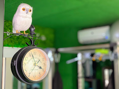 FoRest Gym 사진 4