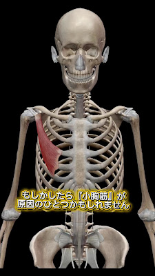 パーソナルジムIDL 香椎照葉本店 사진 5