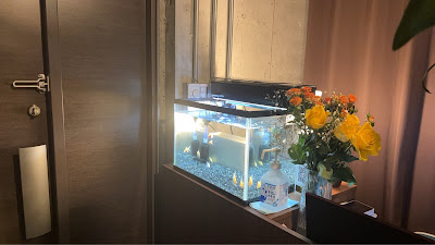 癒磁館 天神本店 사진 5