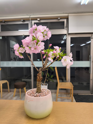 Fukuoka Medical Orthopedic Clinic