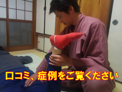 白壁整体院 사진 2