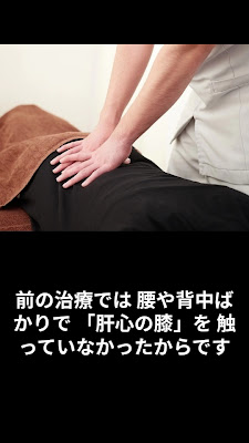 白壁整体院 사진 3