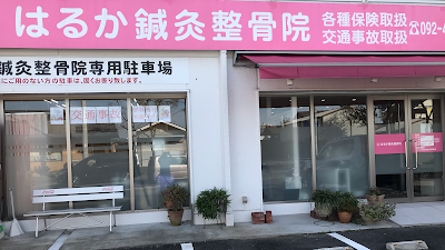 Harukashinkyu Acupuncture
