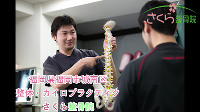 Sakura Orthopedic Clinic 사진 2