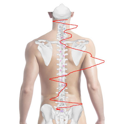 Sakura Orthopedic Clinic 사진 5