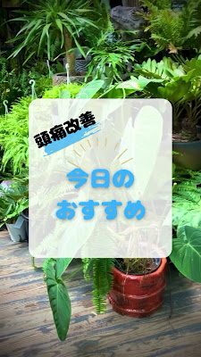 志喜整体院 사진 5