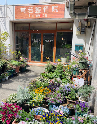 常若整骨院 사진 5