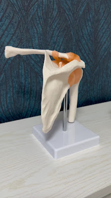 筋膜リリース整体院Fascia(ファシア) 사진 3