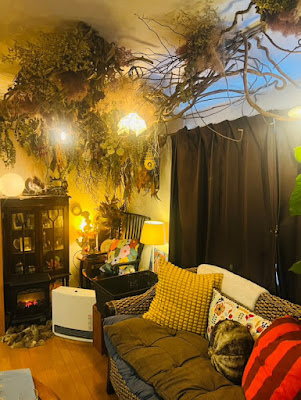 Total Relaxation Salon ミモザの慶び 사진 5